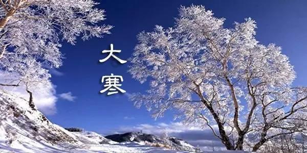 球球大作战下载最新版
